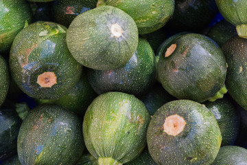 Round zuchinnis