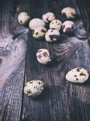 Fresh quail eggs on a gray wooden surface