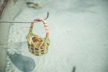 Egg in Hot Spring