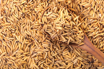 food background. rice grain in a wooden spoon and forming a background. with copyspace