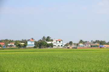 Countryside near Siem Reap, Cambodia