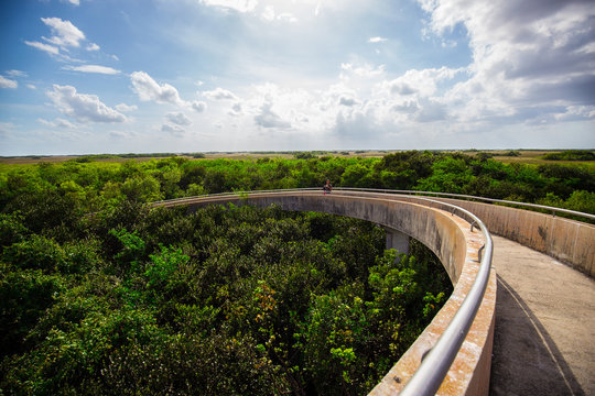 USA. FLORIDA. MIAMI. APRIL,2017: Everglades National Park, Shark Valley,
Observation Tower. 