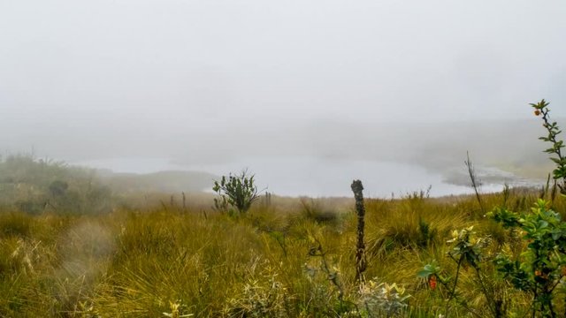 Paramo matarredonda fog timelapse