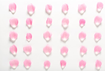 Rose petals on a white background