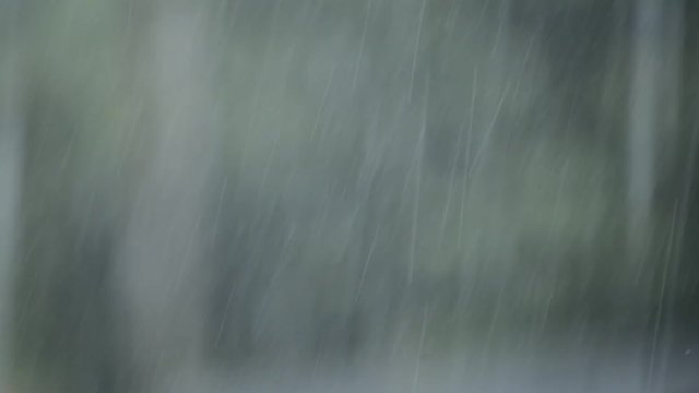 TIOMAN ISLAND, MALASIA - 8 April 2017 : Heavy Tropical Rainfall in Rainforest Background.