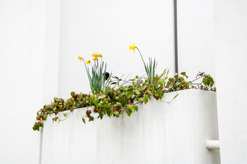 Contemporary Urban Landscapes San Francisco California