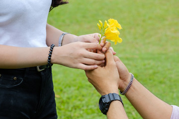 man give flower to woman from hands