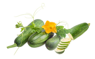 Zucchini and stalk with leaves, tendrils and flower