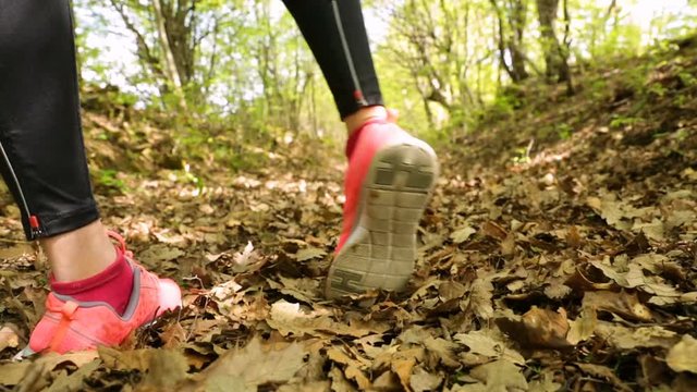 Woman athlete running in the forest. Slide slider