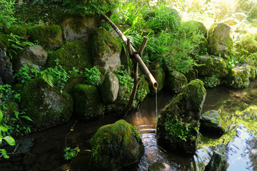 bamboo water fountain, Kyoto, Japan
