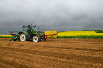 Obraz premium planter les pommes de terre