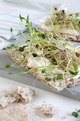 Knäckebrot mit Frischkäse und selbstgezogengen Linsen- und Rettichsprossen