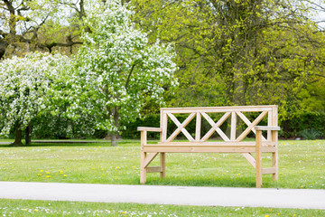 Wooden park bench close to a footpath