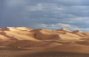 Plakat Sand Dunes