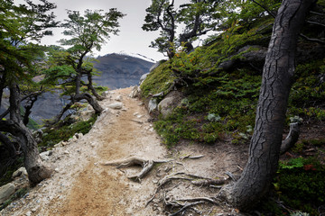 Mountain side trail in Torres del Paine National Park in Chile in the Patagonia region of South America