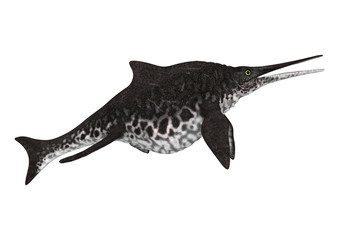 3D Rendering Ichthyosaur Shonisaurus on White