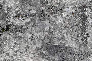 Fototapeta premium Gray grungy cracked concrete wall with small holes background