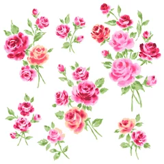Fotobehang Bloemen roos illustratie materiaal