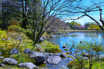 新緑の日本庭園