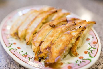 Fried meat dumpling