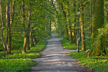 Wiosna w parku miejskim © Mariusz Stoszewski