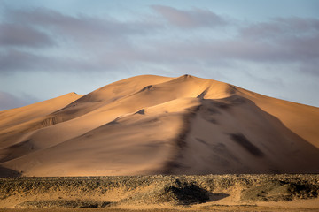 Fototapeta na wymiar Desert sand dune at sunset