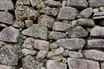 Rock wall