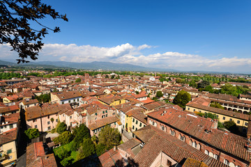 Fototapeta na wymiar Aerial view of Lucca, Tuscany, Italy. View from the Guinigi tower