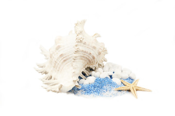 여름, summer, cool, 시원한, sea, 바다, 블루, blue