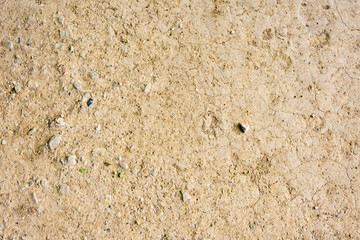 Texture of ground floor and stones