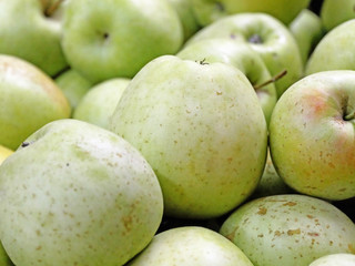 Golden delicious apples