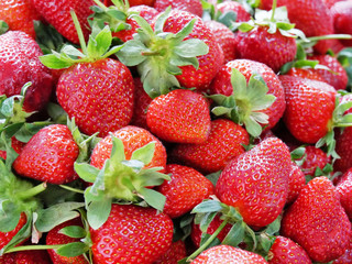 Pile of red fresh strawberries