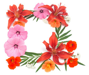 Wreath of flowers lily, mallow, nasturtium and  isolated on white background. Wedding card. Flat lay, top view. Love. Valentine's Day. Easter. Woman