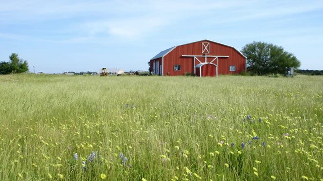 Nice establishing shot of grass and wildflowers swaying in the wind with a red barn in the background.
