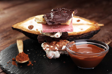 Melting chocolate and diffrent bars - stack and chips with chocolate swirl/ powder and cocoa pod with melted chocolate