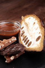 Melting chocolate and diffrent bars - stack and chips with chocolate swirl/ powder and cocoa pod with melted chocolate