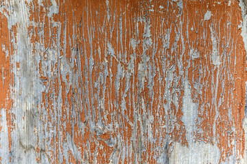 Peeling paint on an old planks