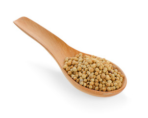 Coriander seeds in wood spoon on white background