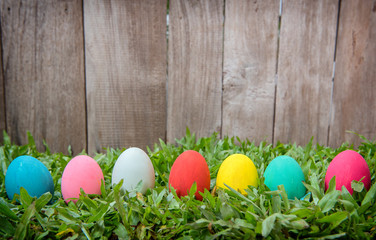 Easter eggs and in green grass. Festive decoration.
