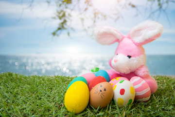 Bunny Eggs Grass On the beach, the sea, beautiful summer