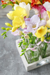 Colorful freesia flowers on grey background.