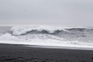 Waves in the beautiful volcanic black sand beach in Dyrholaey near Vik, Iceland.  