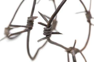 Barbed wire on white background. macro