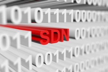 SDN as a binary code with blurred background 3D illustration