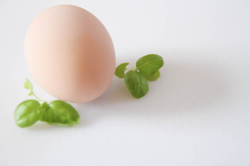 Egg isolated on White Background. Organic chicken egg