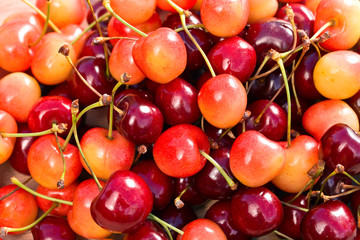 Juicy sweet cherries