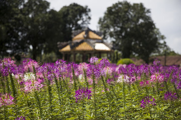 Royal Palace in Hue, Vietnam