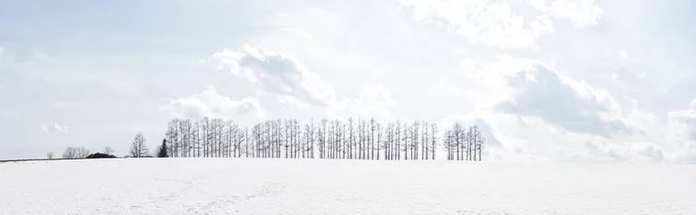 Foto auf Acrylglas Winter Mild seven hill, famous group of trees, signature landscape scene on patchwork road, Biei Hokkaido, Japan