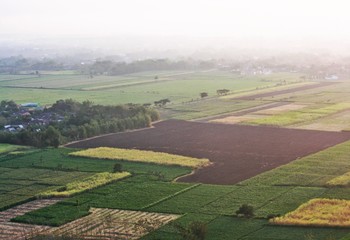 field from aerial view. copy space