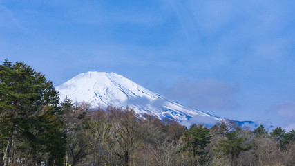 Obraz premium Fuji mount with snow on top in spring time at Yamanaka lake